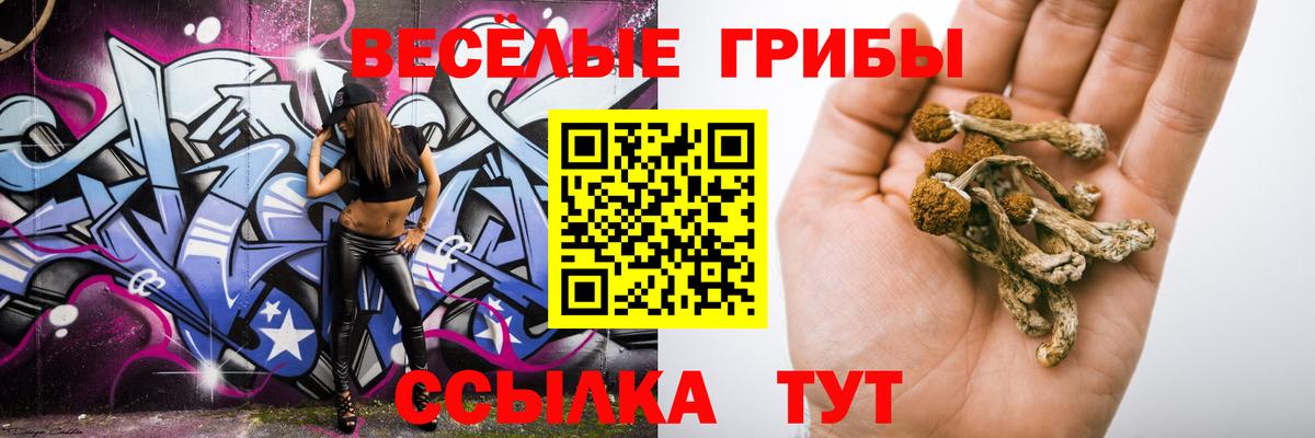 Галлюциногенные грибы Psilocybe Чернушка